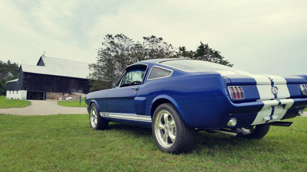 1965 Blue Shelby Mustang, Fully Restored, Rear View